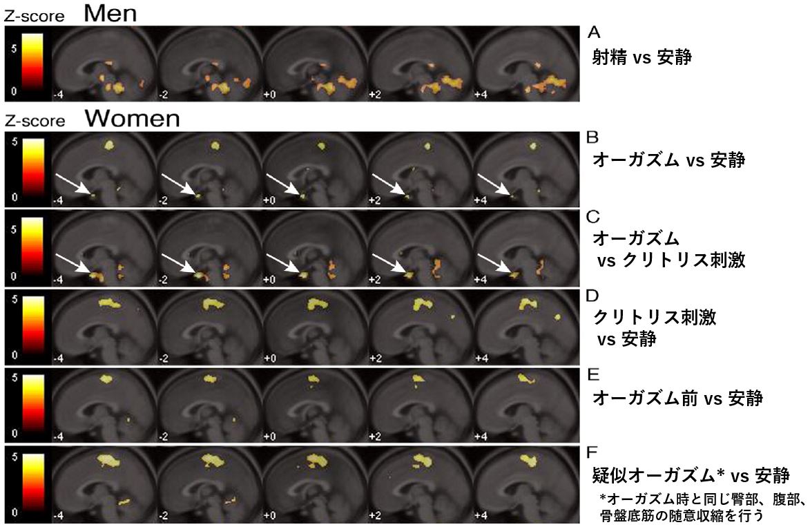 オナニー オキシトシン