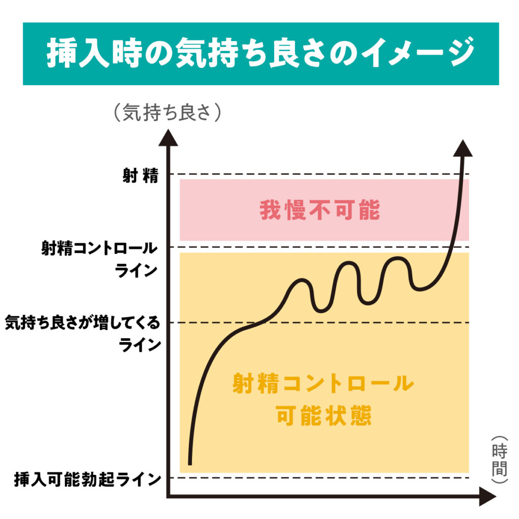 挿入時の気持ち良さのイメージ図