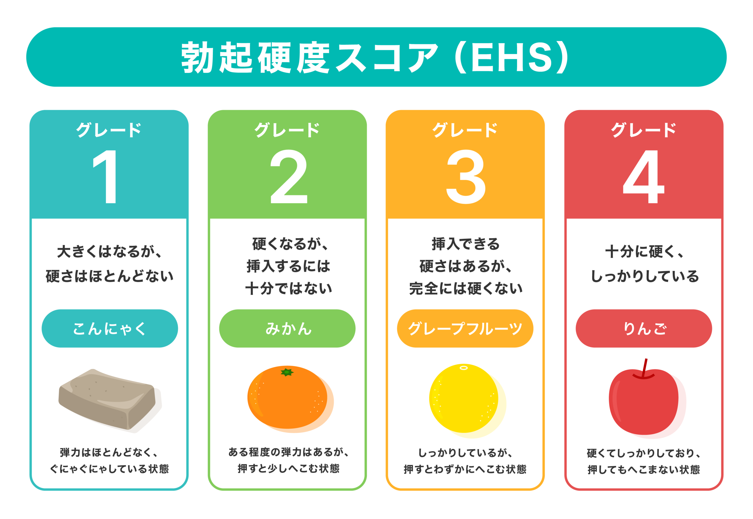 勃起硬度スコア表