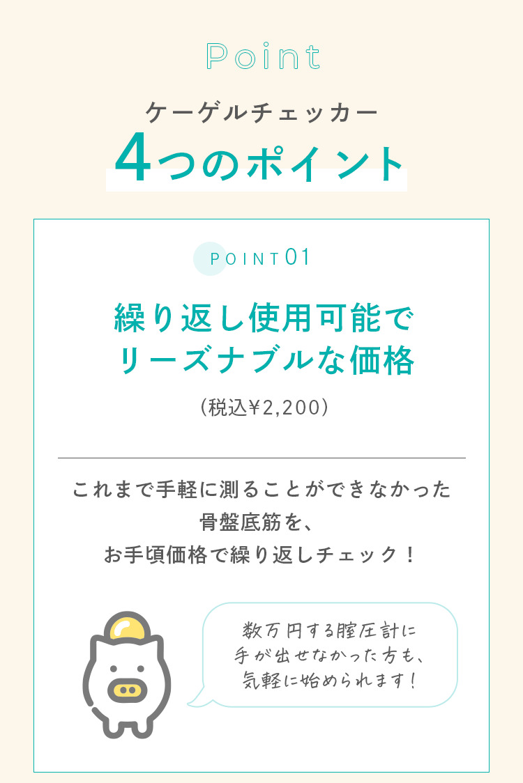 繰り返し使用可能でリーズナブルな価格