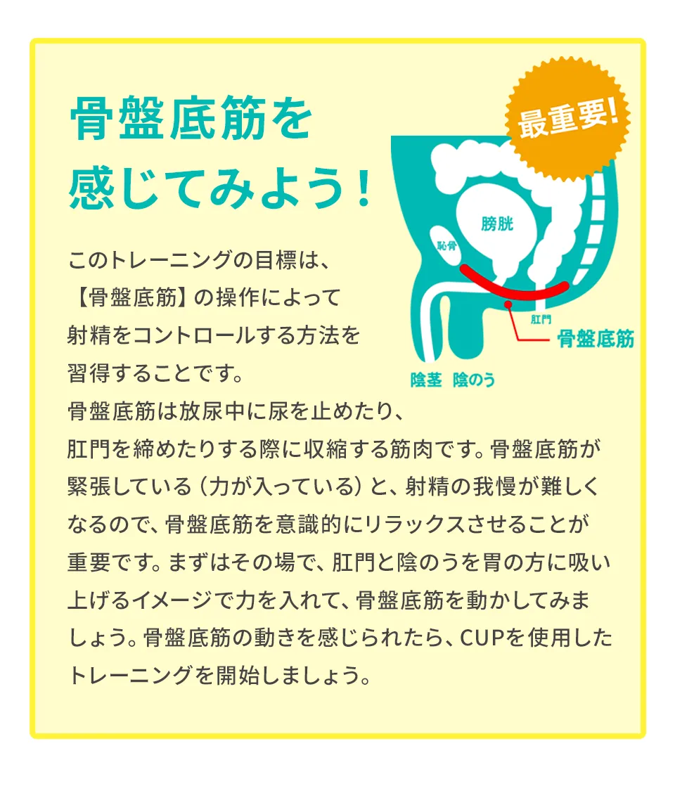 骨盤底筋を感じてみよう！