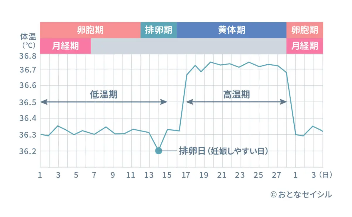 基礎体温の変化がわかるグラフ画像